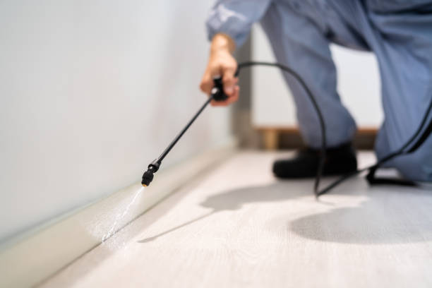 Licensed Termite Control service in Pompano Beach, FL - Nex Pest Control