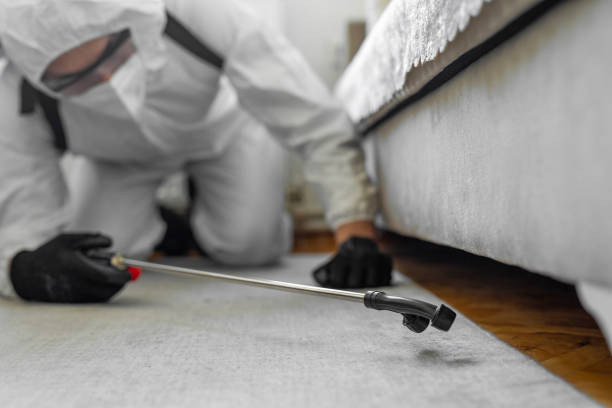 Professional Termite Control technician working in Pompano Beach, FL