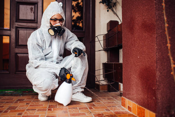 Reliable Termite Control contractor in Pompano Beach, FL by Nex Pest Control